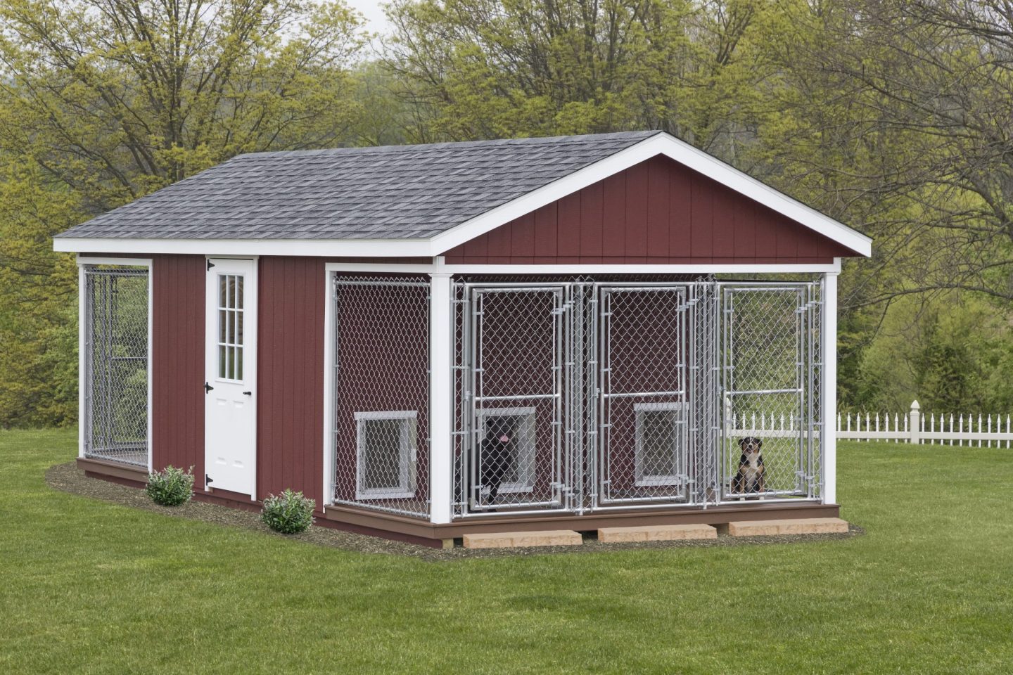 shed and dog kennel combo