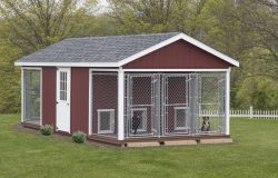 12x24 Dog Kennel