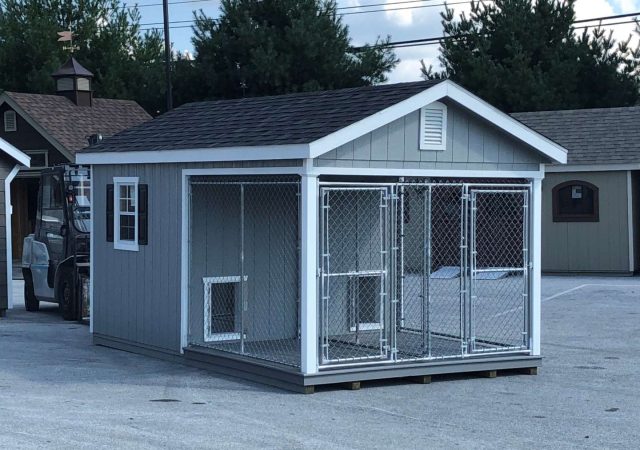 Kennels Where Canine Comfort Comes First