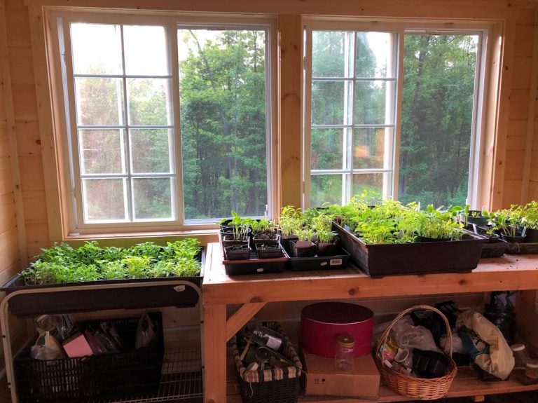 The Happy Gardener’s Potting Shed