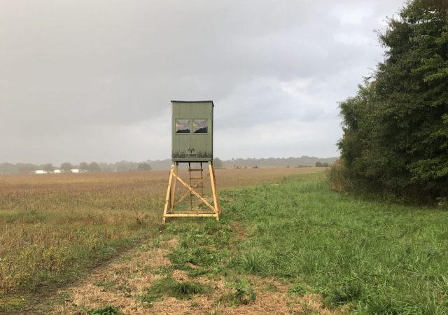 5x5 Hunting Blind in MD