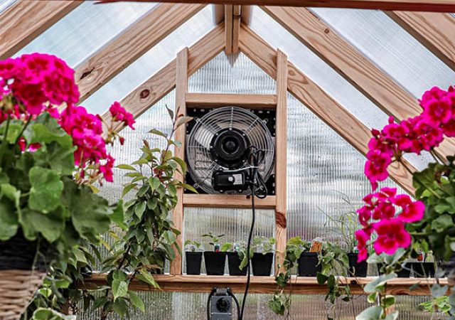 Green House Interior