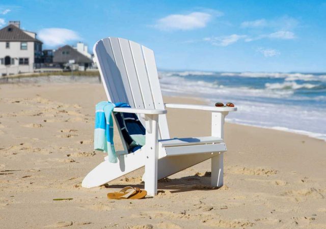 White-Fanback-on-Beach