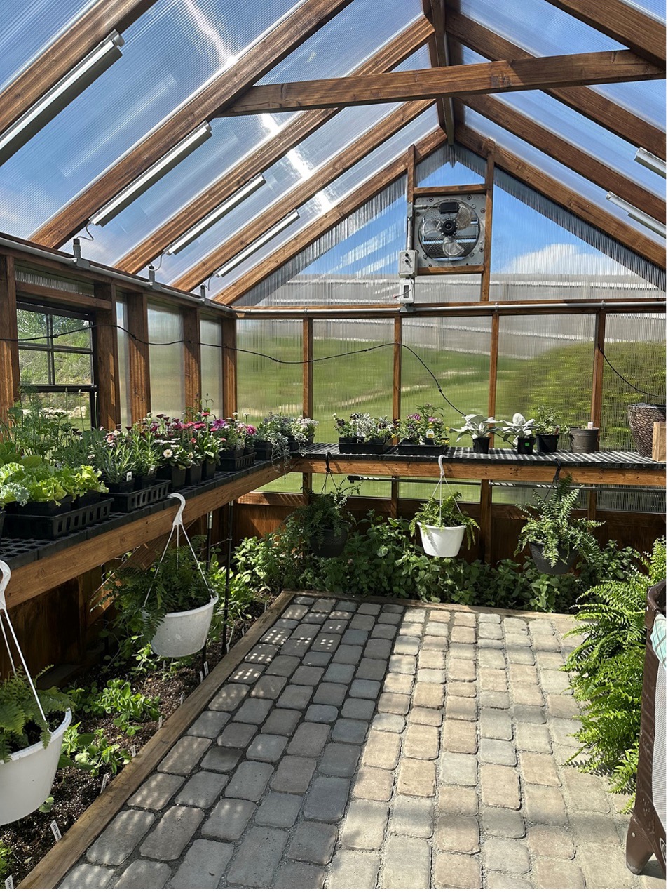 How to Design the Interior of Your Greenhouse When designing the interior of your greenhouse, consider incorporating shelving or hanging baskets to maximize space for plants. Utilize natural light and ventilation, and choose materials that are durable and easy to clean for a low-maintenance and efficient greenhouse design.