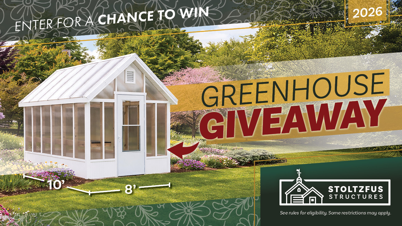 2026 Greenhouse Giveaway Featured Image